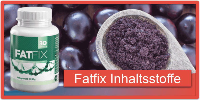 Fatfix Inhaltsstoffe Wirkstoffe