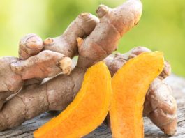 Curcumin Extrakt Curcumin Kurkuma