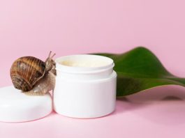 Schneckenschleim Gesichtspflege Schneckenschleim Creme