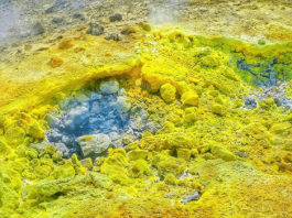 Organischer Schwefel