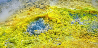 Organischer Schwefel