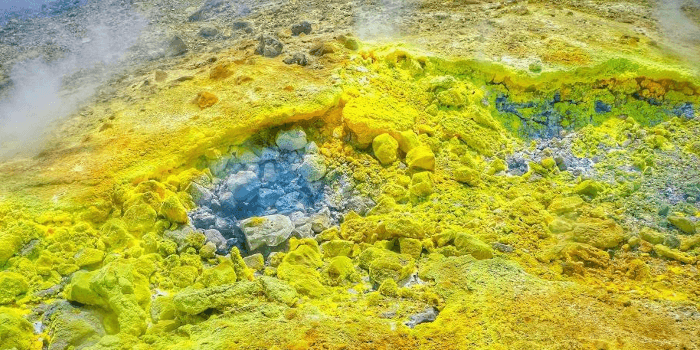 Organischer Schwefel Organischer Schwefel